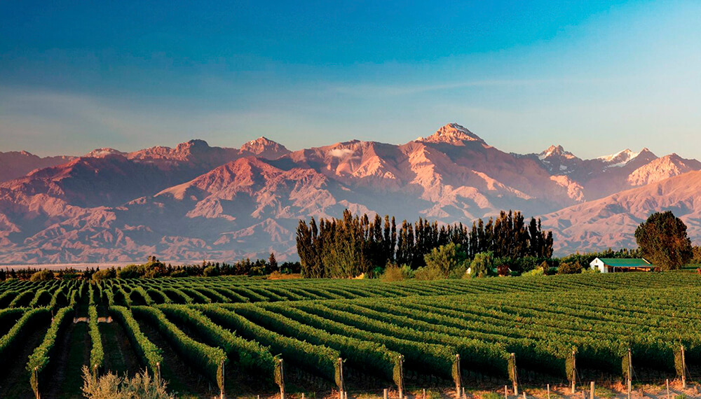 MENDOZA- Salidas 19/08