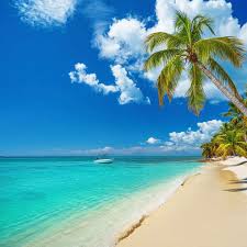 PUNTA CANA - SALIDAS  23 de octubre 