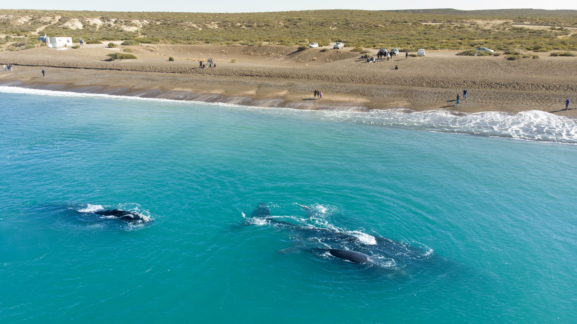 PUERTO MADRYN - AEREO  -SALIDAS OCTUBRE Y NOVIEMBRE 